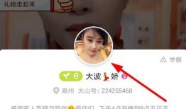 爆料海参直播回放视频,回放视频中的惊人内幕大曝光