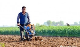 沙河农民爆料最新,揭秘农村发展新动向