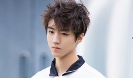 娱乐星视角爆料成毅,星途璀璨，娱乐星视角下的璀璨之星