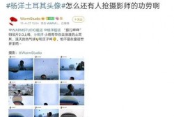 娱乐圈爆料徐开骋,真相与争议交织