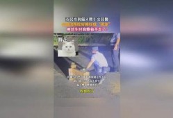 在警察局吃瓜成团宠免费,吃瓜成团宠的欢乐日常