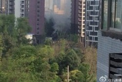 成都公园爆料视频最新消息,揭秘公园里的不为人知故事