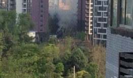 成都公园爆料视频最新消息,揭秘公园里的不为人知故事