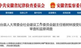 大皖新闻爆料地址在哪里,揭秘事件背后神秘地址