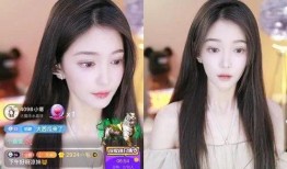 黑妞直播爆料视频大全集,揭秘视频大全集精彩瞬间