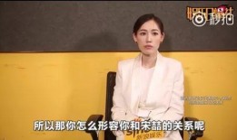 王宝强爆料出轨视频,真相与争议