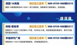 湛江复工的最新爆料,企业有序恢复生产，经济活力逐步复苏