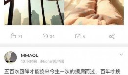 明星恋爱最近爆料视频,甜蜜瞬间引网友热议