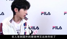 蔡徐坤娱乐圈爆料文