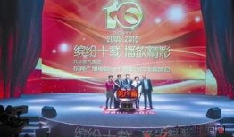 东莞电视台新闻爆料,揭秘当地企业违规操作背后的真相