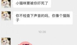 微信聊天记录吃瓜免费,一场吃瓜免费盛宴背后的故事
