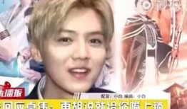 卓伟最新爆料鹿晗私会,卓伟独家爆料真相揭晓