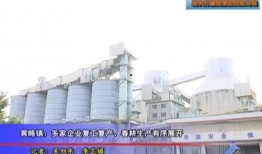 湛江复工的最新爆料,企业有序恢复生产，经济活力逐步复苏