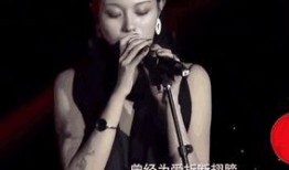 汪峰离婚原因爆料视频,揭秘视频揭露惊人真相