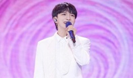 圈内人爆料歌手是谁,揭秘神秘歌手身份大揭秘