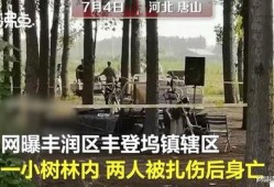 唐山最新爆料案件,细节披露，真相渐明