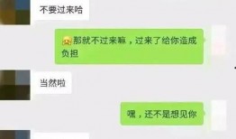 微信聊天记录吃瓜免费,一场吃瓜免费盛宴背后的故事