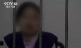 深圳阿诚爆料事件始末视频,真相与争议的交织