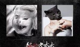 老猫电影在线观看,揭秘神秘猫影世界的奇幻之旅