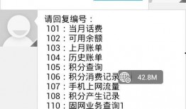 联通最新爆料短信查询,揭秘神秘短信背后的科技革新！”