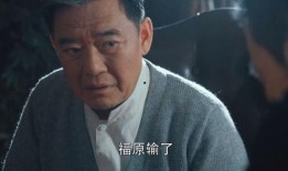 胜算全集在线观看,揭秘战场智慧与策略的巅峰对决