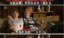 特片神马电影在线观看,畅享海量影视盛宴