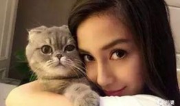 娱乐吃瓜猫咪视频,猫咪吃瓜视频大盘点