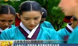 国语大长今在线观看,穿越时空的医术传奇