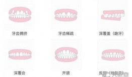 齐美口腔爆料视频大全,揭秘口腔护理那些事