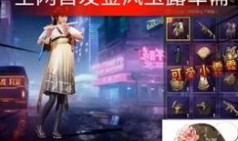 军需最新爆料视频