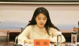 爆料秦奋事件反转视频在线观看,真相大白，揭秘背后真相