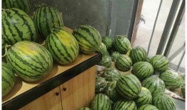 无锡最新吃瓜事件网红