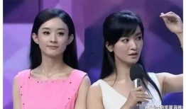 娱乐圈吃瓜爆料李沁是谁,娱乐圈神秘面纱下的璀璨星辉
