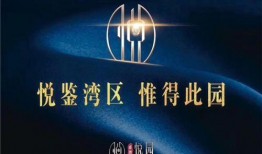 海诺官方爆料最新消息新闻,揭秘行业动态，引领未来趋势