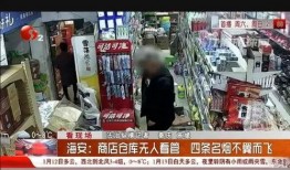 海安超市爆料事件视频播放,揭秘事件背后真相