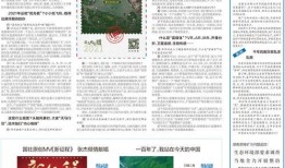 最近国内爆料新闻报道,近期国内爆料新闻背后的真相与影响