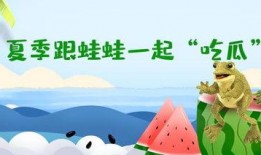 吃瓜网免费独家揭秘呱呱,吃瓜网独家免费解析呱呱背后的秘密