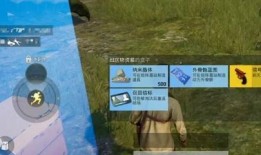 和平精英最新道具爆料,神秘武器引玩家热议，战场格局或将重塑