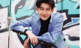 男星粉丝群爆料视频播放,揭秘明星幕后生活片段