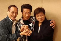 陈惠敏爆料成龙视频播放,真相与争议