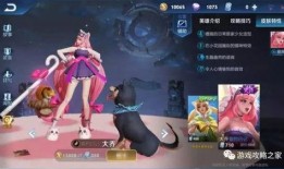 大乔花嫁皮肤爆料视频,古典美韵，浪漫绽放