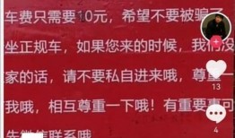 爆料春花的视频,一场视觉盛宴背后的故事