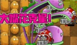 水影小胡子爆料视频,揭秘视频背后的惊人真相