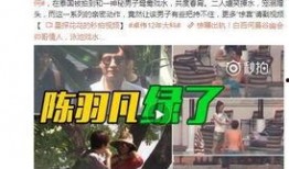 29年前娱乐爆料视频,那些年娱乐圈的惊人内幕