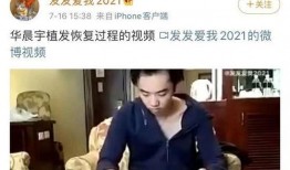 秃头最新爆料视频大全集,揭秘娱乐圈不为人知的秘密