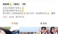 深圳杨某爆料最新新闻,最新事件详情揭露