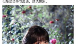 吃瓜娱乐圈大燕子,大燕子吃瓜记