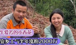 爆料春花的视频,一场视觉盛宴背后的故事
