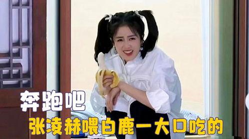 爱豆吃瓜娱乐酱白鹿,爱豆吃瓜娱乐酱，揭秘娱乐圈幕后故事